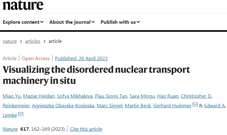 科學(xué)家們發(fā)現(xiàn)毛孔中心的內(nèi)在無序蛋白質(zhì)是如何形成移動(dòng)屏障 科學(xué)家們發(fā)現(xiàn)毛孔中心的內(nèi)在無序蛋白質(zhì)是如何形成移動(dòng)屏障