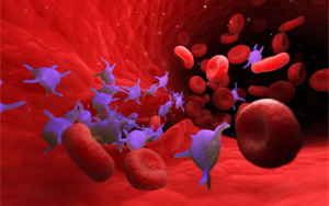 血小板聚集功能檢測(cè)——誘聚劑