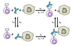 新SNAPtag技術(shù)定制基于T細胞的免疫療法