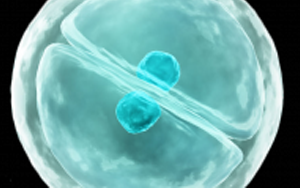 eLife：細(xì)胞真是“成精了”，它能模仿人類交流方式，一旦“關(guān)系”破裂，癌癥和糖尿病都找上門(mén)