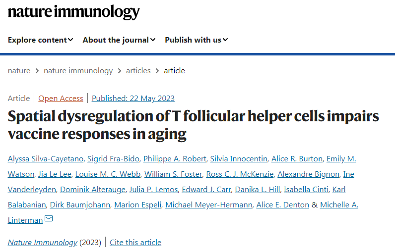 研究免疫反應(yīng)隨著年齡的增長而變化的方式