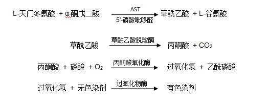 谷草轉(zhuǎn)氨酶(AST/GOT)檢測(cè)原理 谷草轉(zhuǎn)氨酶(AST/GOT)檢測(cè)原理