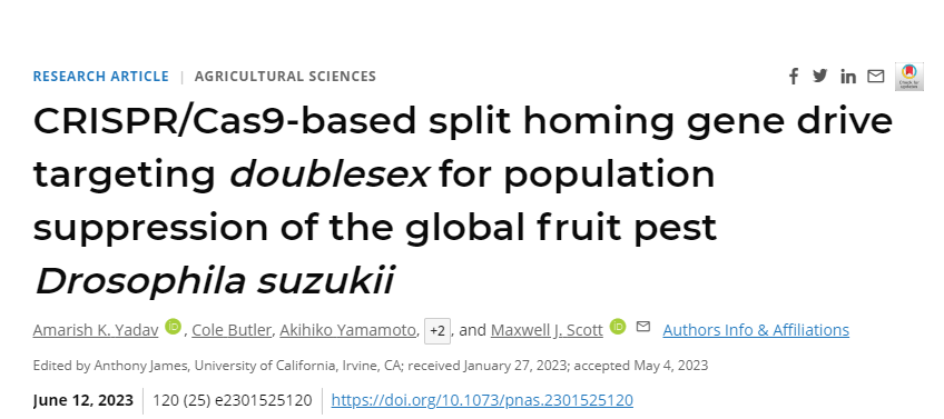 研究人員已經(jīng)開發(fā)出一種基于CRISPR/Cas9的歸巢基因驅(qū)動(dòng)系統(tǒng)