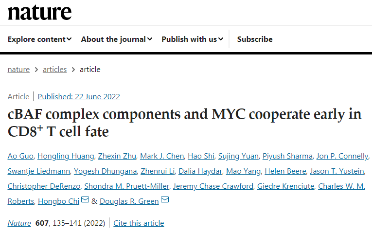 研究團隊發(fā)現(xiàn)cBAF蛋白質(zhì)復(fù)合物可控制T細胞的命運