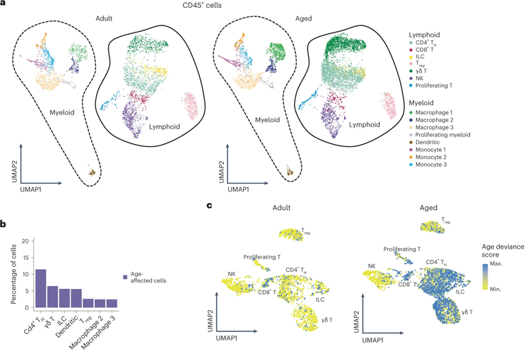 淋巴免疫細(xì)胞亞群顯示IL-17A/F相關(guān)信號傳導(dǎo)增加 淋巴免疫細(xì)胞亞群顯示IL-17A/F相關(guān)信號傳導(dǎo)增加