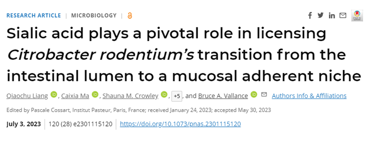 研究表明，腸道細(xì)菌感染和一系列與腸道細(xì)菌有關(guān)的慢性疾病都有可能成為治療目標(biāo)