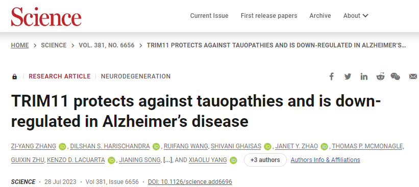 使用堿基編輯技術(shù)生成嵌合抗原受體(CAR) T細胞