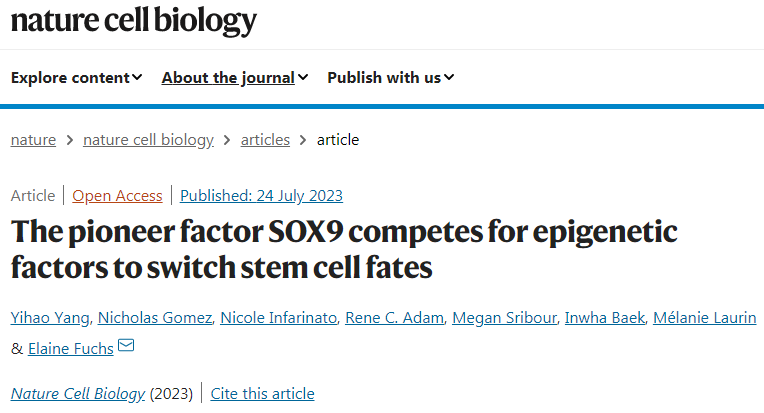 研究發(fā)現(xiàn)SOX9控制著遺傳信息從DNA到mRNA的傳遞