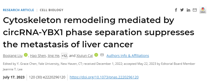 研究發(fā)現(xiàn)了一種核circRNA--circASH2