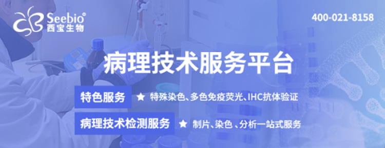 病理技術(shù)檢測(cè)服務(wù)