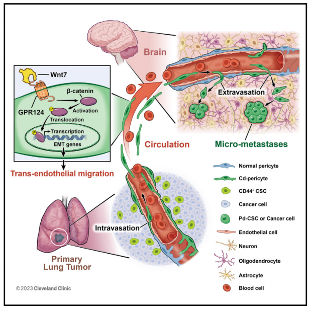機理模式圖 機理模式圖