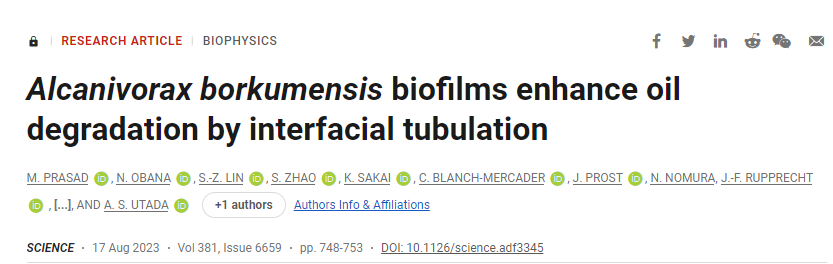 研究揭示了特殊細菌如何優(yōu)化油的生物降解和消耗 研究揭示了特殊細菌如何優(yōu)化油的生物降解和消耗