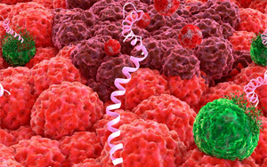 養(yǎng)殖業(yè)“替抗”破局利刃？--抑菌肽