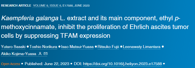 沙姜根莖提取物(KGE)及其主要活性成分EMC的抗癌作用 沙姜根莖提取物(KGE)及其主要活性成分EMC的抗癌作用