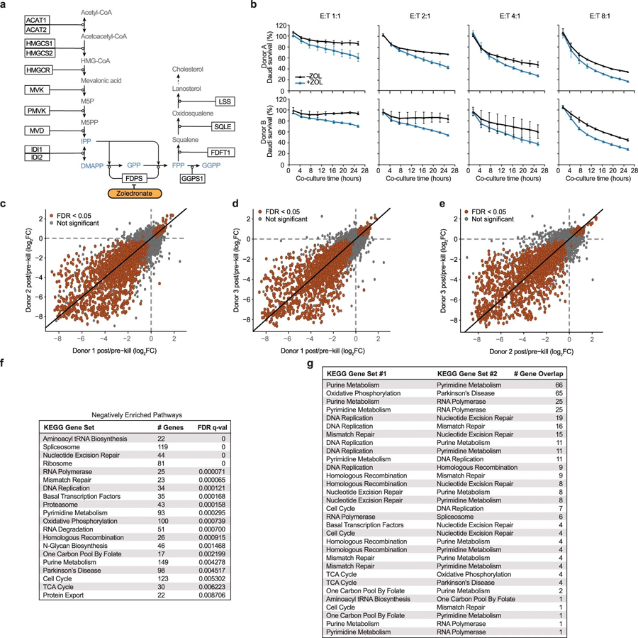 甲羥戊酸途徑效應、共培養(yǎng)篩選一致性和基因集富集分析（GSEA）