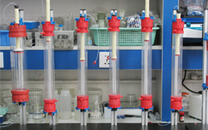 降“層析介質(zhì)”成本，增“分離純化”效率