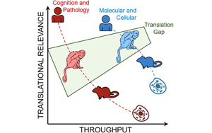 第一個遺傳性阿爾茨海默病狨猴動物模型