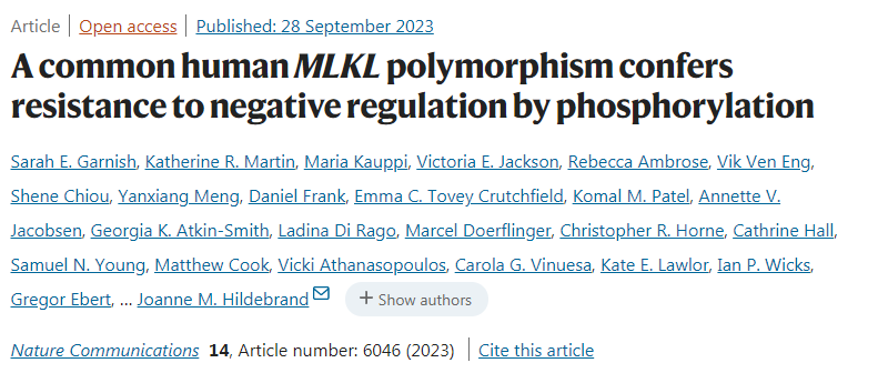 一種常見(jiàn)的人類多態(tài)MLKL通過(guò)磷酸化賦予負(fù)面調(diào)控抗性 一種常見(jiàn)的人類多態(tài)MLKL通過(guò)磷酸化賦予負(fù)面調(diào)控抗性