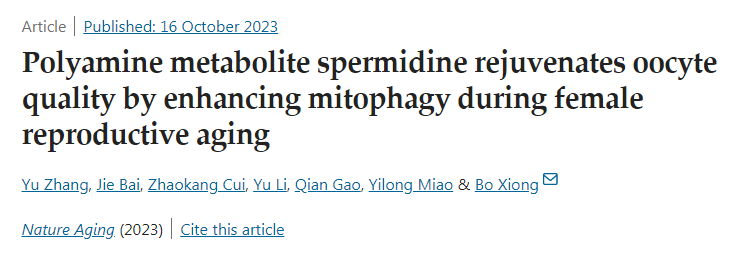 多胺代謝產(chǎn)物亞精胺在女性生殖衰老過(guò)程中通過(guò)增強(qiáng)線粒體自噬使卵母細(xì)胞質(zhì)量恢復(fù)活力
