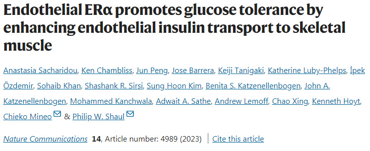 ERα通過加強(qiáng)內(nèi)皮胰島素向骨骼肌的轉(zhuǎn)運改善葡萄糖耐受
