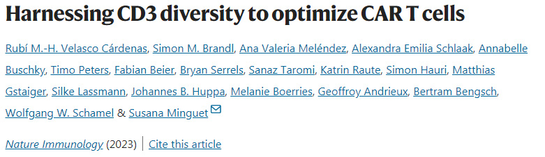 利用CD3多樣性優(yōu)化CAR T細胞