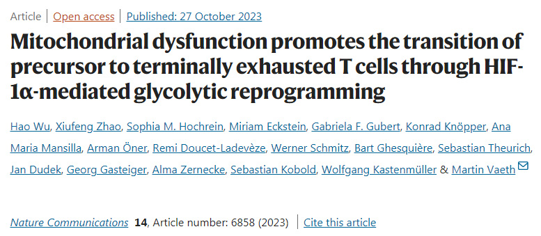線(xiàn)粒體功能障礙通過(guò)HIF-1α介導(dǎo)的糖酵解重編程促進(jìn)前體向最終衰竭的T細(xì)胞的轉(zhuǎn)變