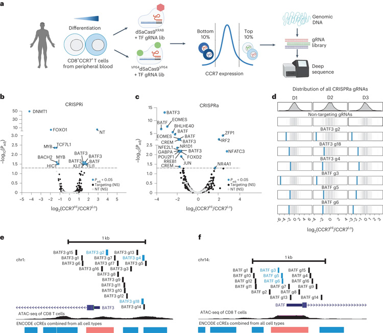 T細胞耗竭的特征是代謝重編程 T細胞耗竭的特征是代謝重編程