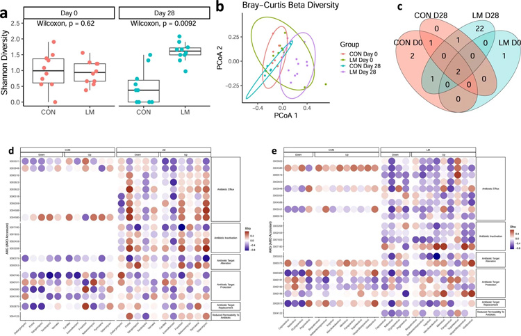 微量營養(yǎng)素缺乏小鼠的抗生素耐藥性擴(kuò)大 微量營養(yǎng)素缺乏小鼠的抗生素耐藥性擴(kuò)大