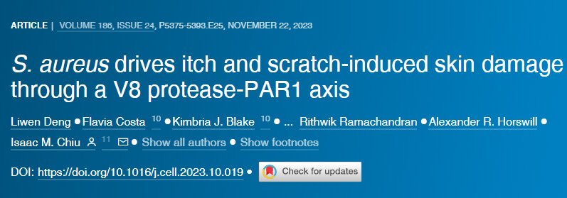 金黃色葡萄球菌通過V8蛋白酶-PAR1軸引發(fā)瘙癢和因抓撓引起的皮膚損傷 金黃色葡萄球菌通過V8蛋白酶-PAR1軸引發(fā)瘙癢和因抓撓引起的皮膚損傷