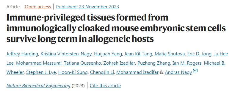免疫隱形小鼠胚胎干細(xì)胞形成的免疫特權(quán)組織在異基因宿主中長(zhǎng)期存活 免疫隱形小鼠胚胎干細(xì)胞形成的免疫特權(quán)組織在異基因宿主中長(zhǎng)期存活