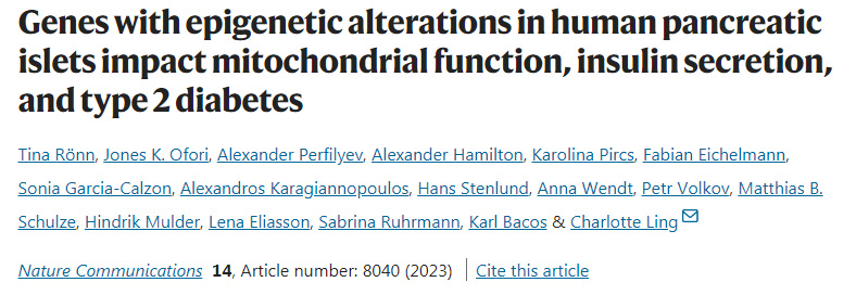 人類(lèi)胰島表觀遺傳學(xué)改變的基因影響線(xiàn)粒體功能、胰島素分泌和2型糖尿病