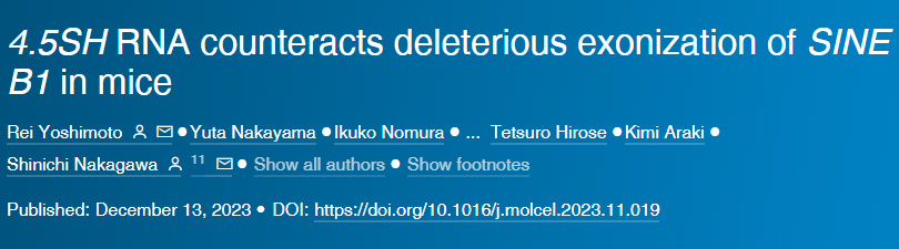 4.5SH RNA對抗小鼠SINE B1的有害外顯子作用 4.5SH RNA對抗小鼠SINE B1的有害外顯子作用