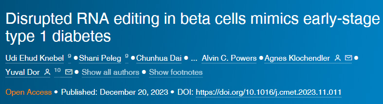 β細(xì)胞中斷的RNA編輯模擬早期1型糖尿病