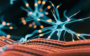 研究發(fā)現(xiàn)，鈣通道阻滯劑是逆轉(zhuǎn)肌強直性營養(yǎng)不良肌肉無力的關(guān)鍵