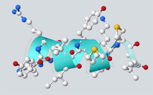 “繁花”盛開，細(xì)數(shù)多肽藥物的星辰大海