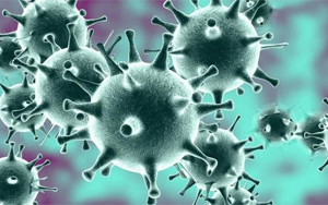 感染318天，體內(nèi)變異40次！COVID-19病例揭示新冠病毒的“超級進(jìn)化史”