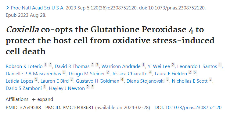 Coxiella產(chǎn)生的谷胱甘肽過氧化物酶4保護宿主細胞免受氧化應激誘導的細胞凋亡 Coxiella產(chǎn)生的谷胱甘肽過氧化物酶4保護宿主細胞免受氧化應激誘導的細胞凋亡