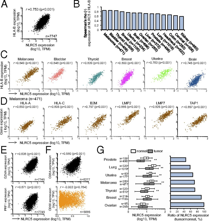 NLRC5和MHC I類基因表達與人類癌癥相關(guān)