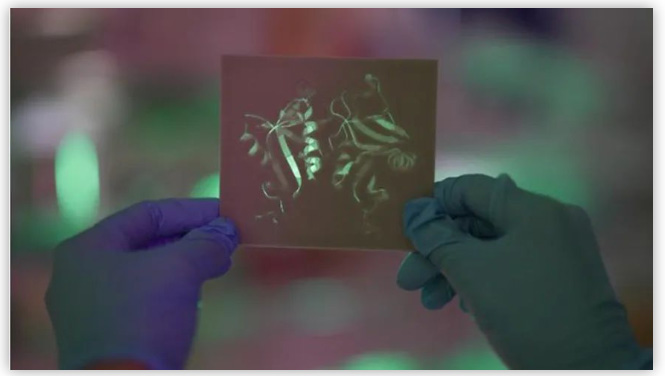 DECTIN-1蛋白質(zhì)結(jié)構(gòu)的3D打印 DECTIN-1蛋白質(zhì)結(jié)構(gòu)的3D打印