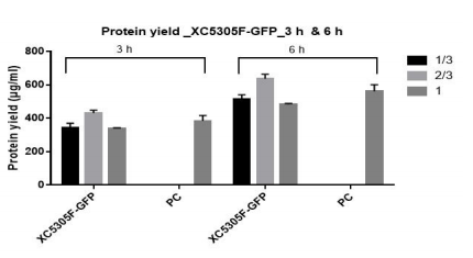 蛋白質產量_XC5305F-GFP_3h & 6h