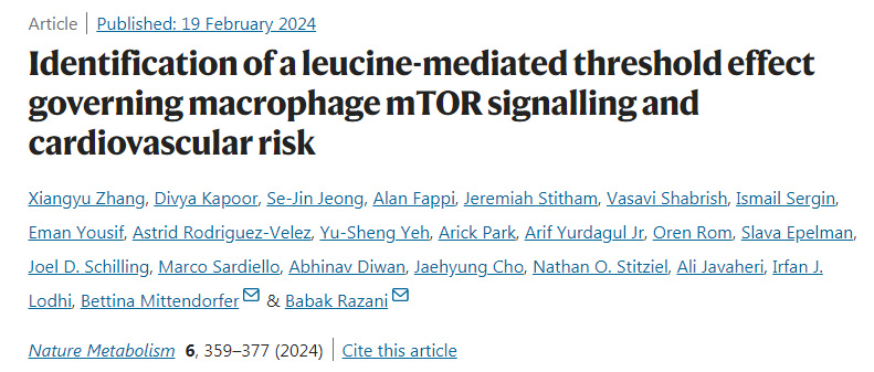 鑒別亮氨酸介導(dǎo)的控制巨噬細胞mTOR信號傳導(dǎo)和心血管風(fēng)險的閾值效應(yīng)
