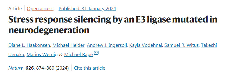 神經(jīng)退行性病變E3連接酶突變引發(fā)的應激反應沉默 神經(jīng)退行性病變E3連接酶突變引發(fā)的應激反應沉默