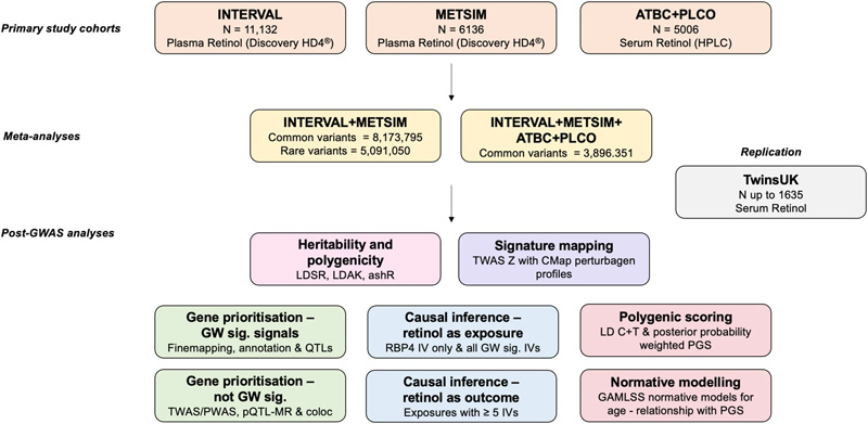 循環(huán)視黃醇全基因組分析研究設(shè)計(jì)綜述
