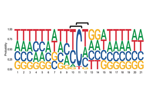 6次入院治療！連漫威英雄“金剛狼”都畏懼的這種癌癥，到底因何而起？