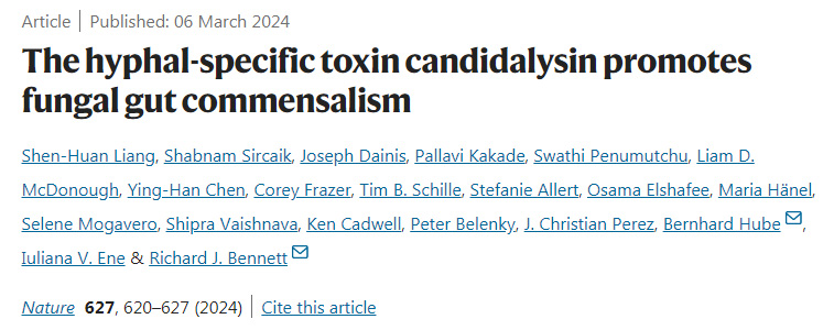 菌絲特異性毒素念珠菌素促進真菌腸道共生 菌絲特異性毒素念珠菌素促進真菌腸道共生