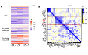 血液中可溶性免疫檢查點因子作為ICI癌癥免疫治療和評估T細(xì)胞衰竭治療效果的潛在生物標(biāo)志物