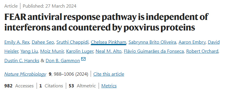 FEAR抗病毒反應(yīng)途徑獨立于干擾素，并由痘病毒蛋白對抗