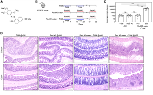 食品中廣泛使用的誘惑紅和落日黃，會誘導和加速結腸炎發(fā)展！