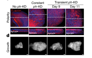 Nature：沒有基因突變，癌癥照樣發(fā)生？！
