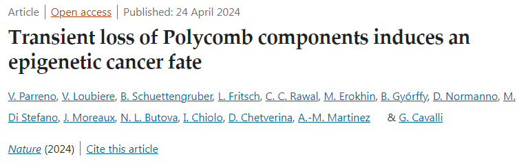 多梳蛋白的瞬時(shí)缺失誘發(fā)表觀遺傳性癌癥 多梳蛋白的瞬時(shí)缺失誘發(fā)表觀遺傳性癌癥